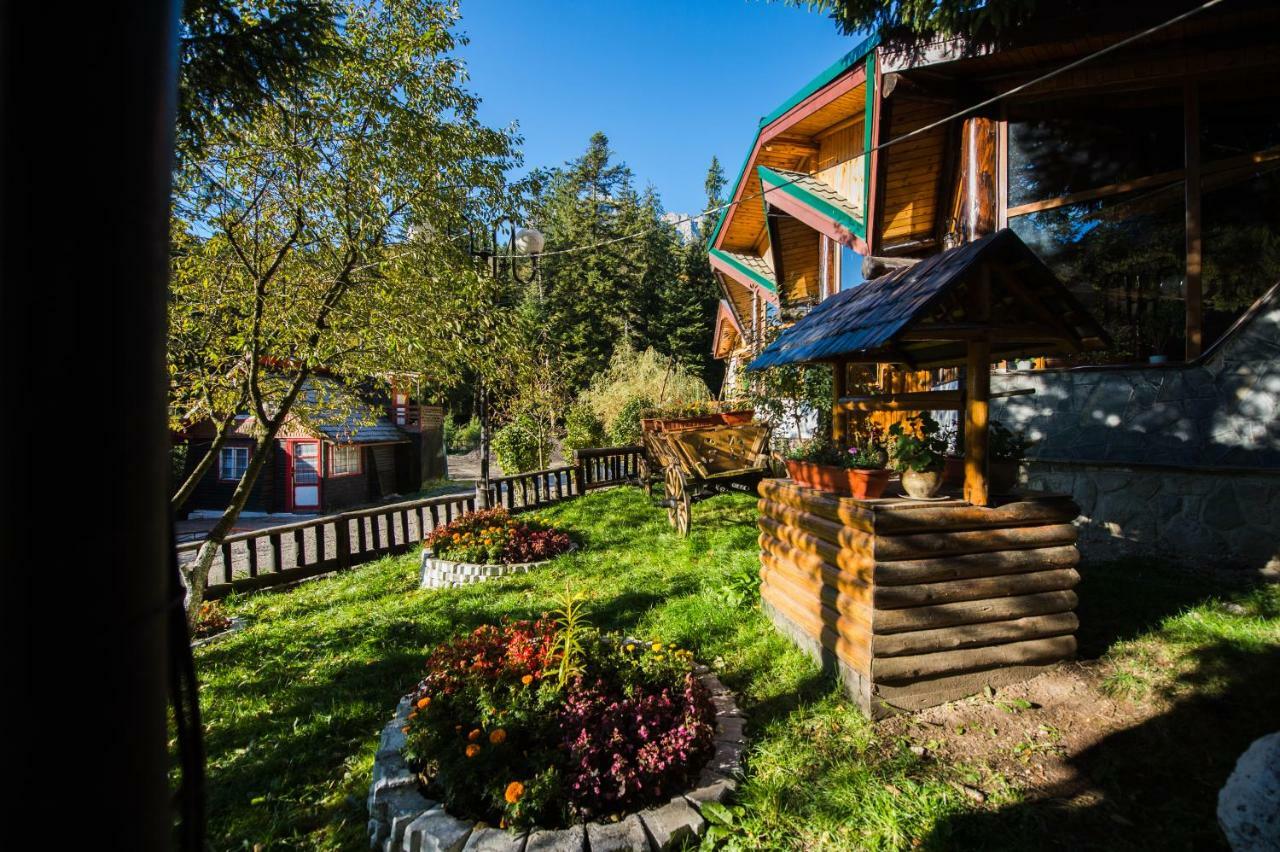 Gura Diham Hotel Szászbuda Kültér fotó